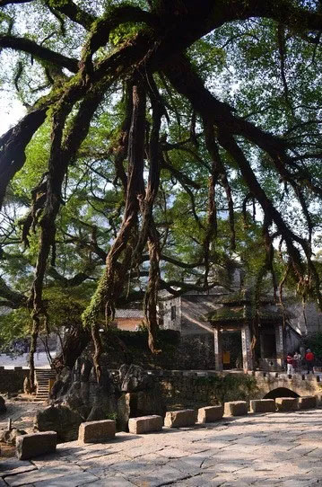 博皓游記 | 夏風微醺的綺夢，領(lǐng)略賀州黃姚古鎮(zhèn)、姑婆山閑憩之美-12
