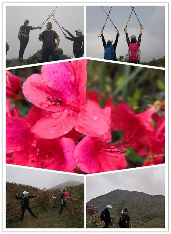 3月29日，云浮新興縣登天麓山&賞杜鵑花