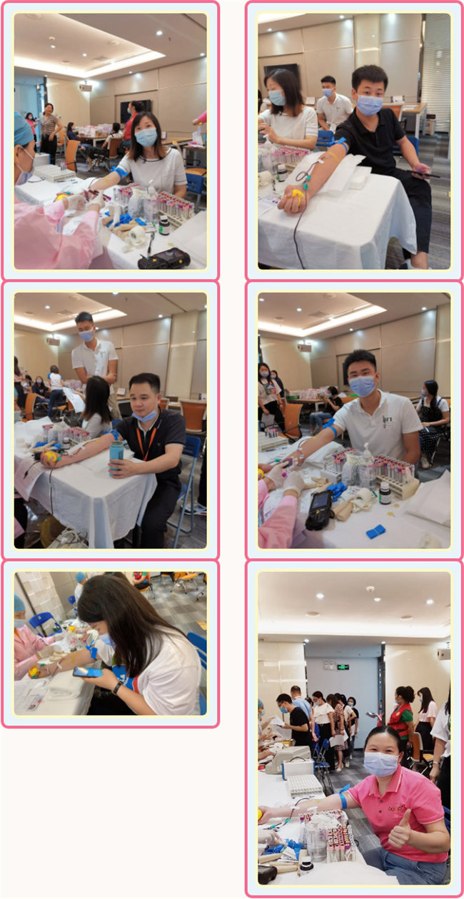 捐獻(xiàn)青春熱血，彩繪人生畫卷——廣東博皓總班委組織了一次“捐我熱血，呵護(hù)生命”的無償獻(xiàn)血公益活動(dòng)    -3