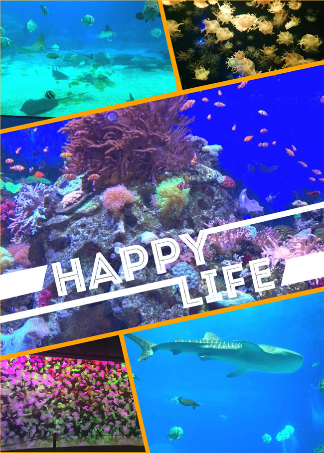 廣東博皓親子游：珠海長(zhǎng)隆海洋王國(guó)，探索海洋生物的奧秘，奇妙的動(dòng)物世界