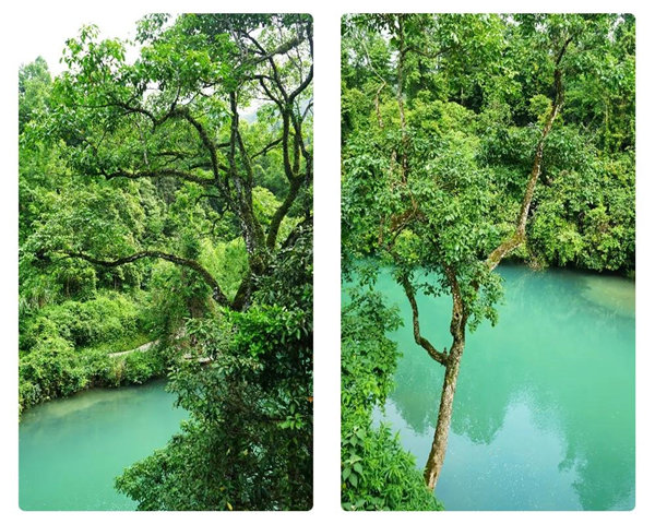 多彩貴州，魅力天下，2021年廣東博皓快樂貴州行-29