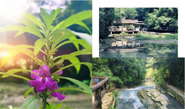 “湘”約鳳凰，相守未來(lái)——2022博皓快樂(lè)湖南行    -34