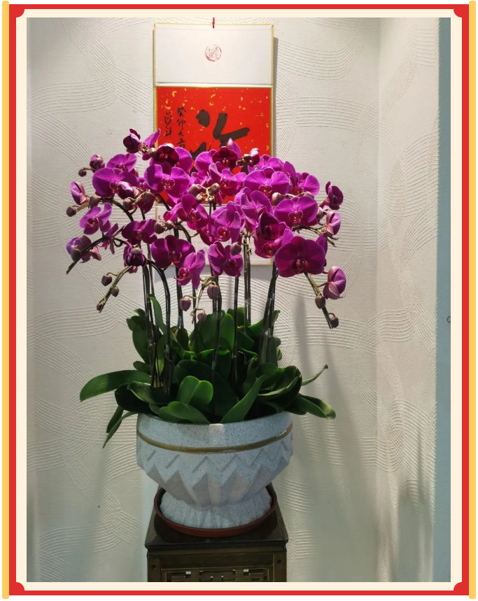 廣東博皓開(kāi)工大吉丨金虎騰躍，兔來(lái)運(yùn)轉(zhuǎn)           -23