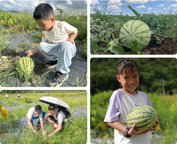 趣游盛夏，一路童行—2024年廣東博皓親子游   -12