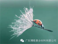 【博皓感悟】成功，要“借力”，不要“盡力”