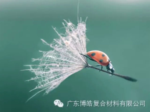【博皓感悟】成功，要“借力”，不要“盡力”